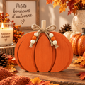 Citrouille décorative orange