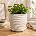 Pot de fleurs décoratif en céramique – Relief à rayures