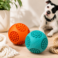 Balles de lancer pour chien - Lot de 2