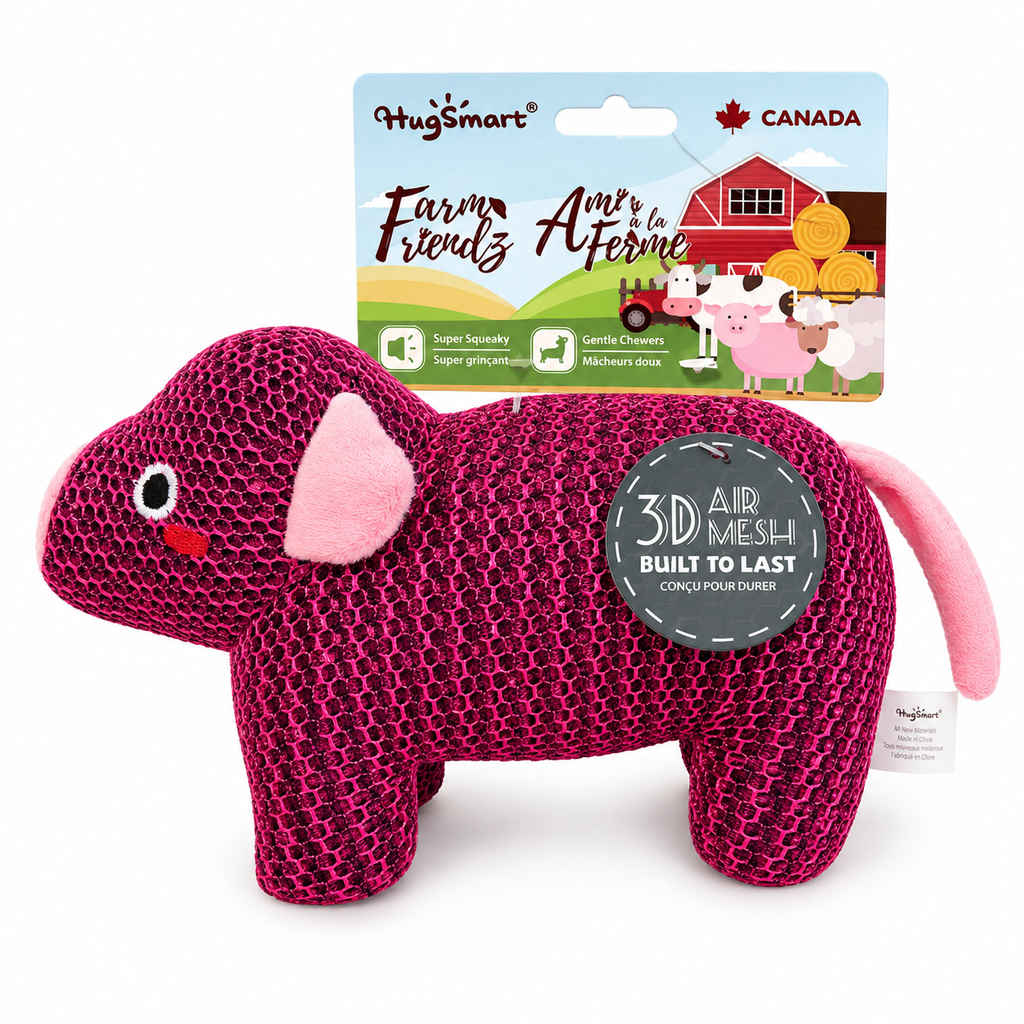 Jouet pour chien – Cochon en peluche 3D Air Mesh