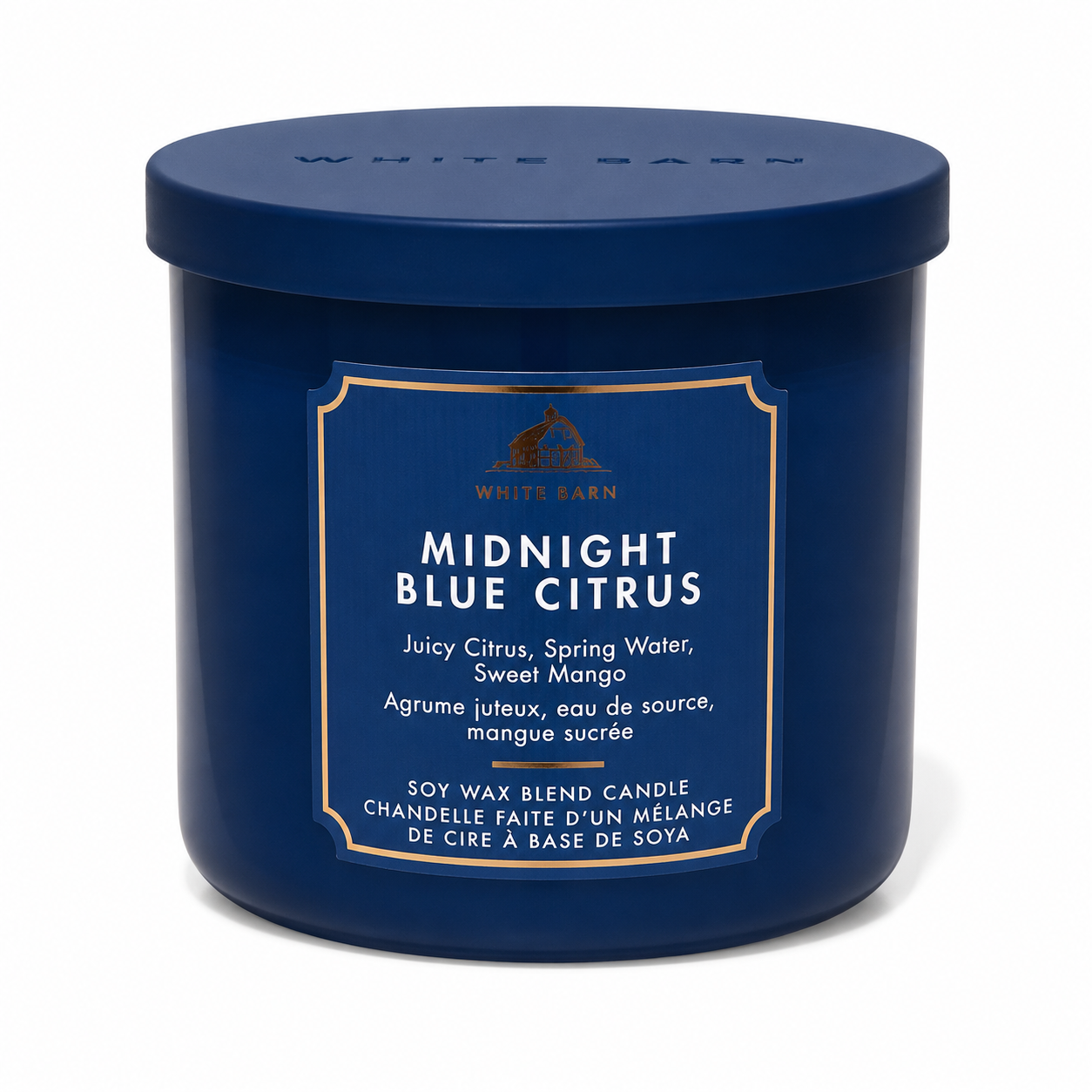 Bougie 3 mèches - Midnight Blue Citrus