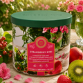 Bougie 3 mèches - Strawberry Kiwi