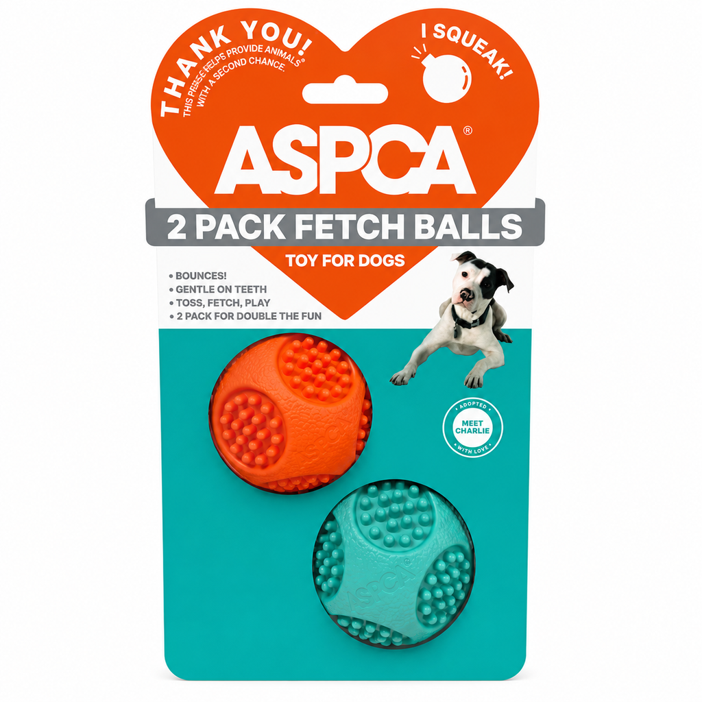 Balles de lancer pour chien - Lot de 2