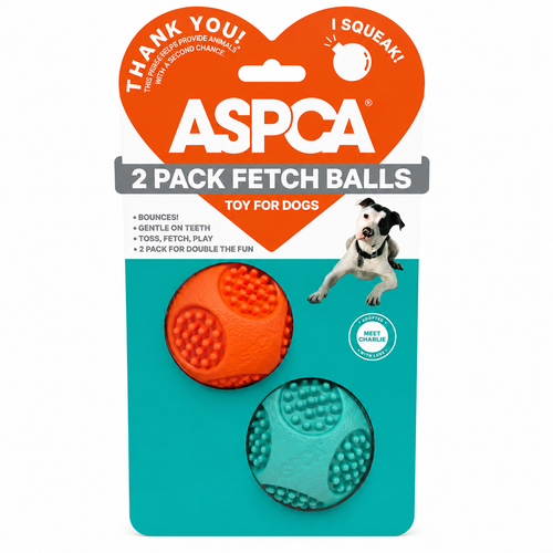 Balles de lancer pour chien - Lot de 2